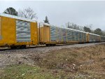 TTGX 708884